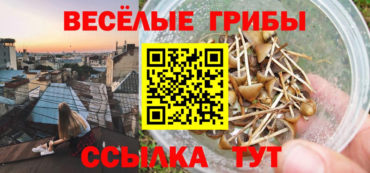 Псилоцибиновые грибы ЛСД  Вход с VPN  Кувандык  Галлюциногенные грибы мухоморы 