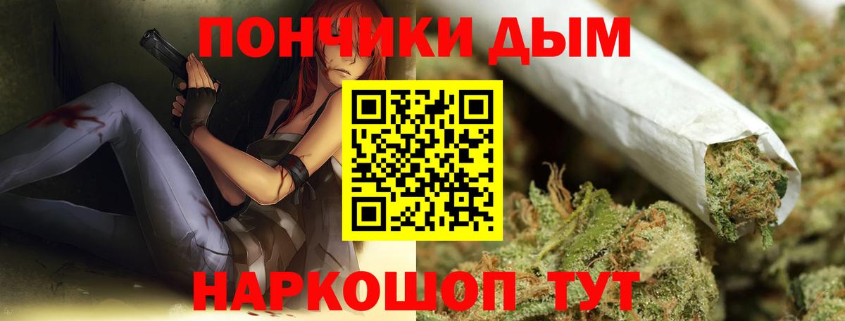 Кувандык  Каннабис план  МАРИХУАНА планчик  Бошки Шишки сатива  Вход с VPN 